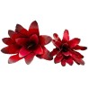 Naturalistic Bromeliad - Fireball - Large