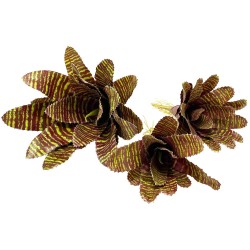 Naturalistic Bromeliad - Red Chestnut - Large