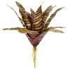 Naturalistic Bromeliad - Red Chestnut - Large