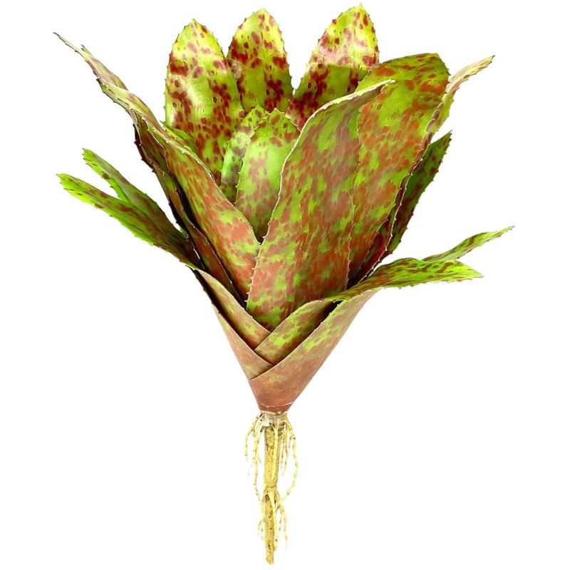 Naturalistic Bromeliad - Royal Pepper - Small