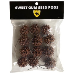 Biodegradables - Sweet Gum Seed Pods