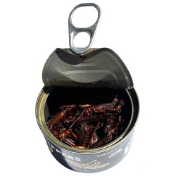 Canned Grasshoppers