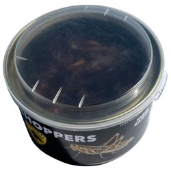 Canned Grasshoppers