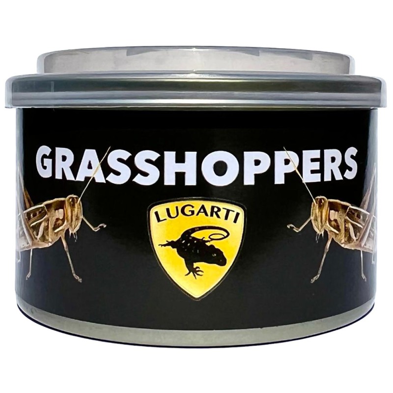 Canned Grasshoppers