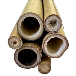 Natural Bamboo Poles - Large