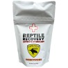 Reptile Recovery - Insectivore - 8 oz