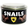 Canned Snails