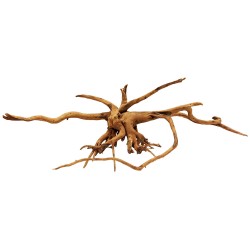 Spider Wood - Jumbo