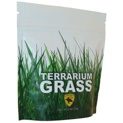 Terrarium Grass - 4 oz