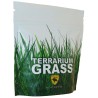 Terrarium Grass - 4 oz