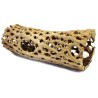 Cholla Cactus Wood - X-Small