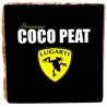 Premium Coco Peat - Block