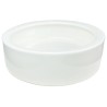 Insect Feeder Dish - White - Small