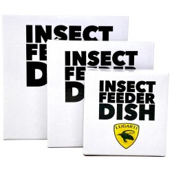 Insect Feeder Dish - White - Small