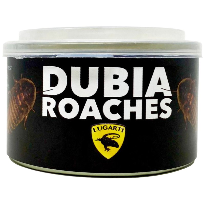 Canned Dubia Roaches - Large